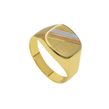 Load image into Gallery viewer, 18k yellow white rose gold signet man chevalier ring 12mm satin central oval