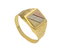Load image into Gallery viewer, 18k yellow white rose gold band signet man chevalier ring 11mm central square