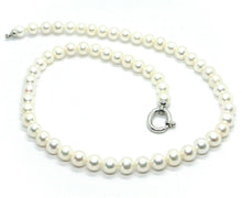 Cargar imagen en el visor de la galería, 18k white gold 7/7.5 mm round white freshwater pearls necklace, 43cm 17".