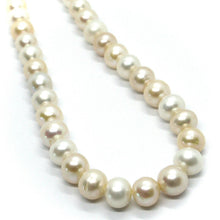 Cargar imagen en el visor de la galería, 18k yellow gold big 10/10.5 mm round oval white pink purple fw pearls necklace.