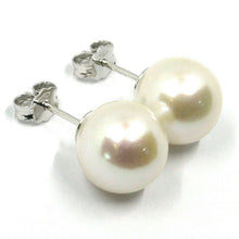 Load image into Gallery viewer, SOLID 18K WHITE GOLD STUDS EARRINGS, BIG FRESHWATER PEARLS, DIAMETER 12 MM.