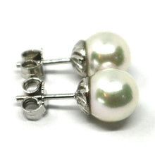 Load image into Gallery viewer, SOLID 18K WHITE GOLD STUDS EARRINGS, SALTWATER AKOYA PEARLS, DIAMETER 8/8.5 MM.