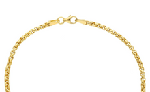 Cargar imagen en el visor de la galería, 44074232
