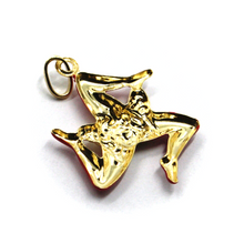 Load image into Gallery viewer, 18k yellow gold pendant, rounded trinacria 25mm, excavated back, red enamel.
