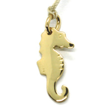 Load image into Gallery viewer, SOLID 18K YELLOW GOLD PENDANT, FLAT SEAHORSE, SMOOTH, 0.7 INCHES, MADE IN ITALY.
