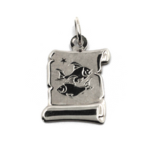 Load image into Gallery viewer, 18k white gold parchment medal pendant, 18mm zodiacal sign pisces smooth &amp; satin.
